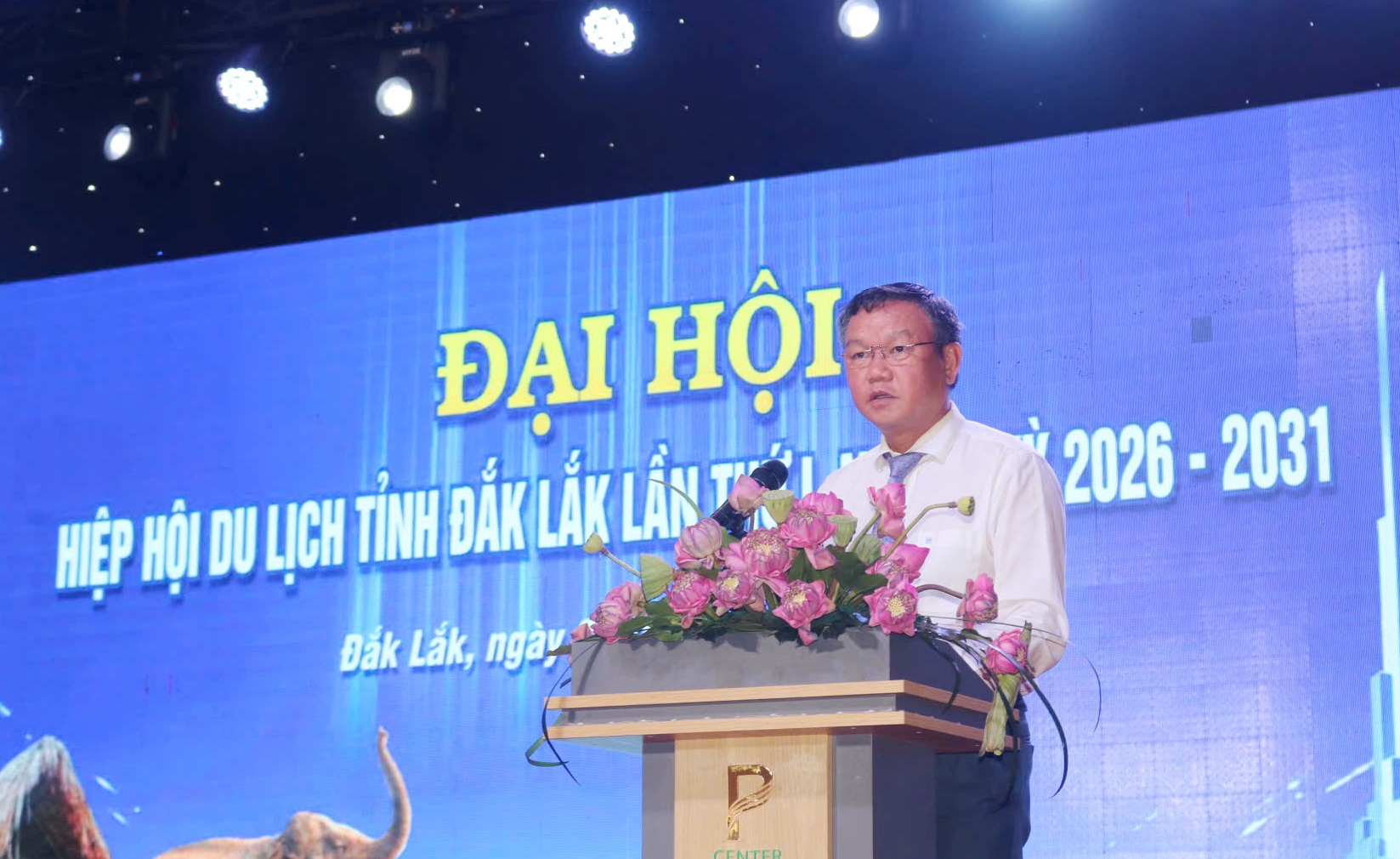 Phó Chủ tịch UBND tỉnh Đào Mỹ phát biểu tại đại hội.